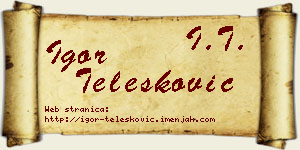 Igor Telesković vizit kartica